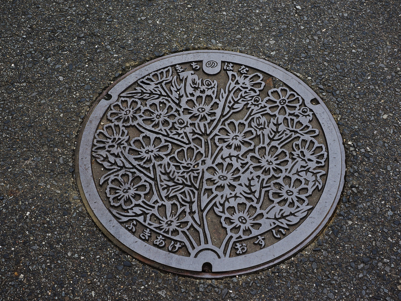 PA010103.jpg
