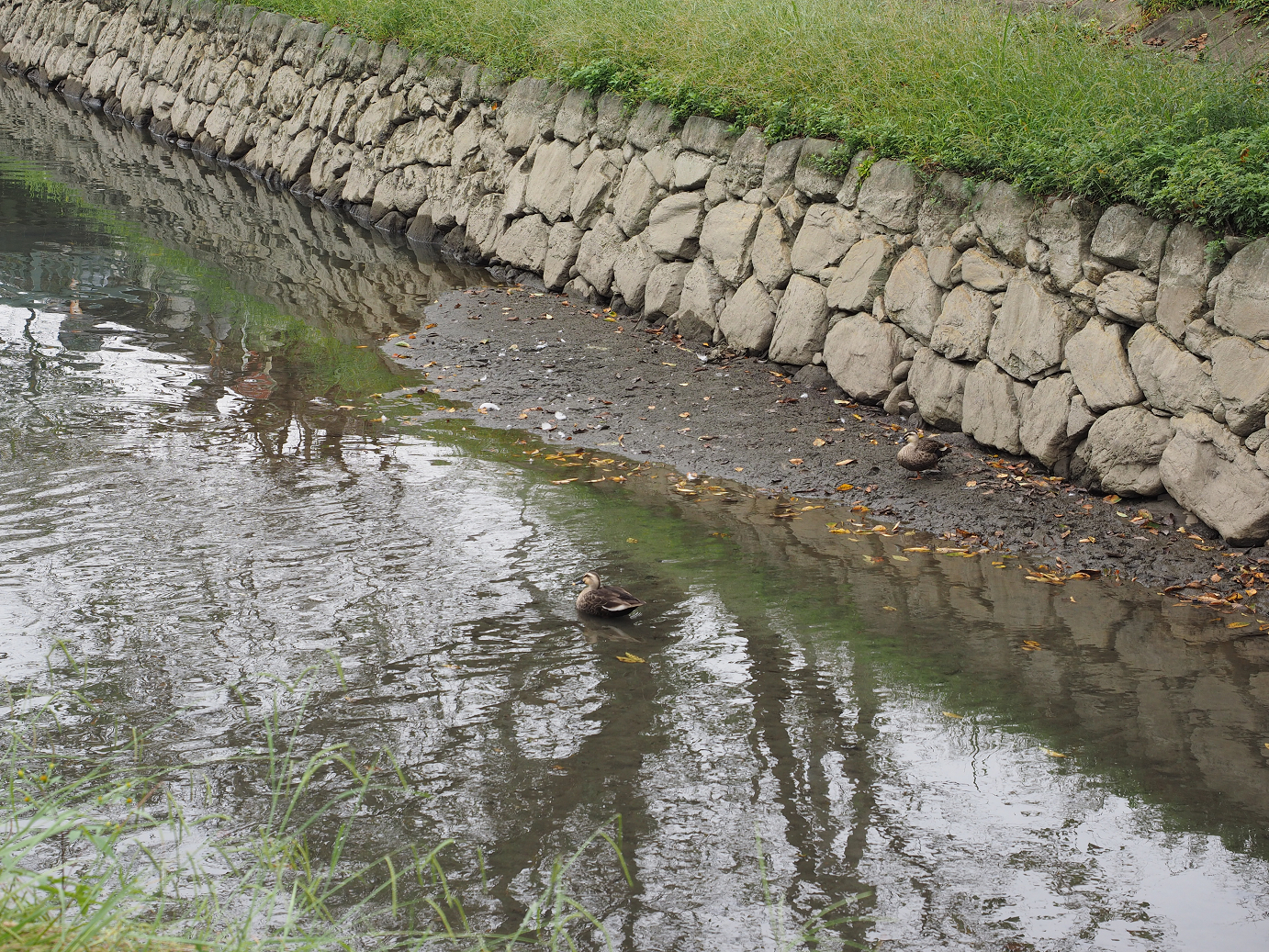 PA010106.jpg