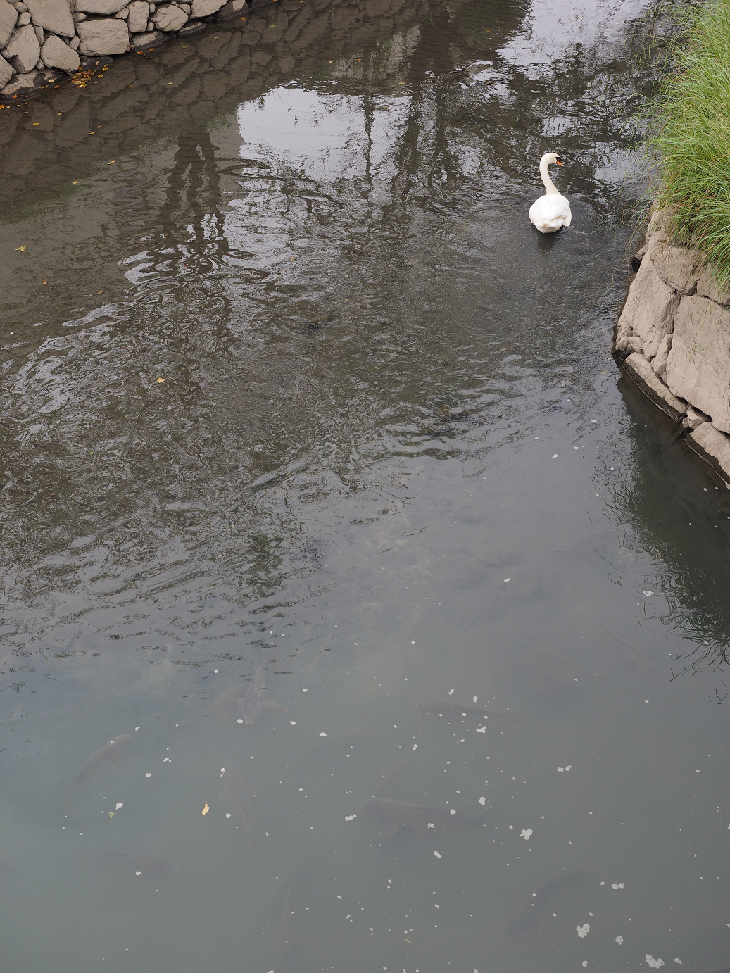 PA010108.jpg