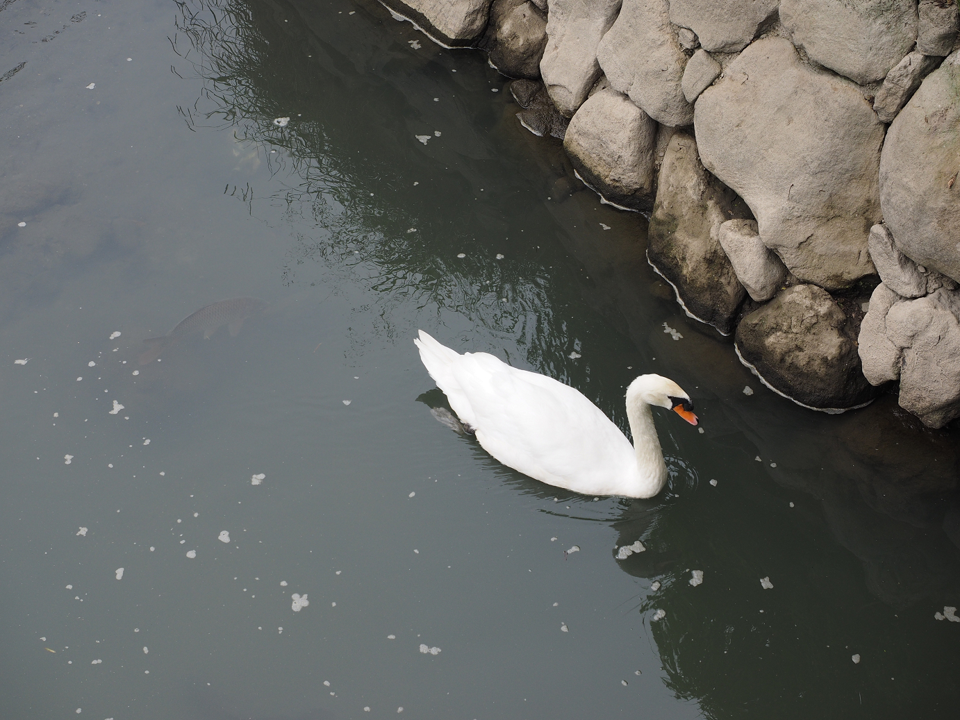 PA010110.jpg