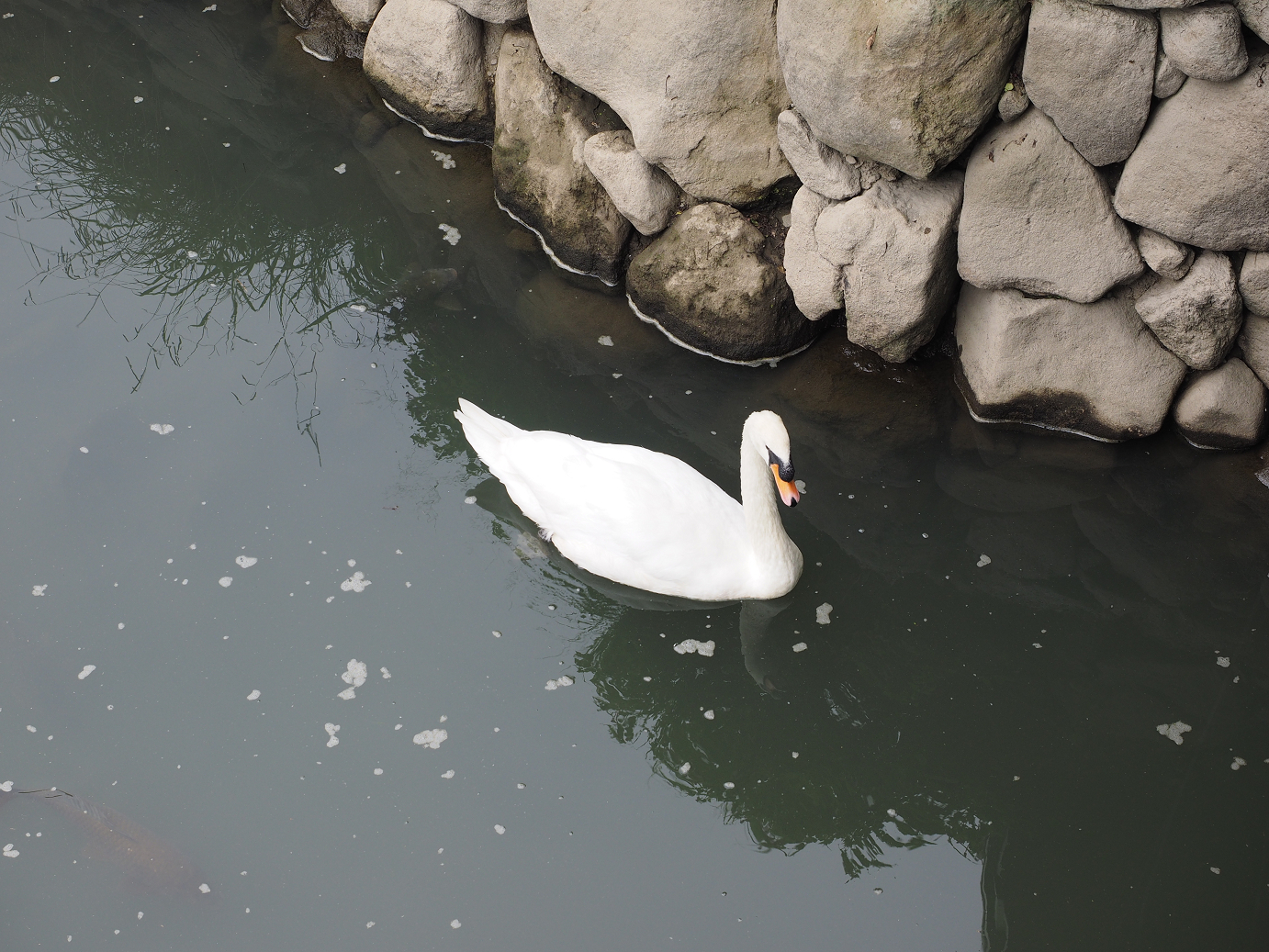 PA010112.jpg