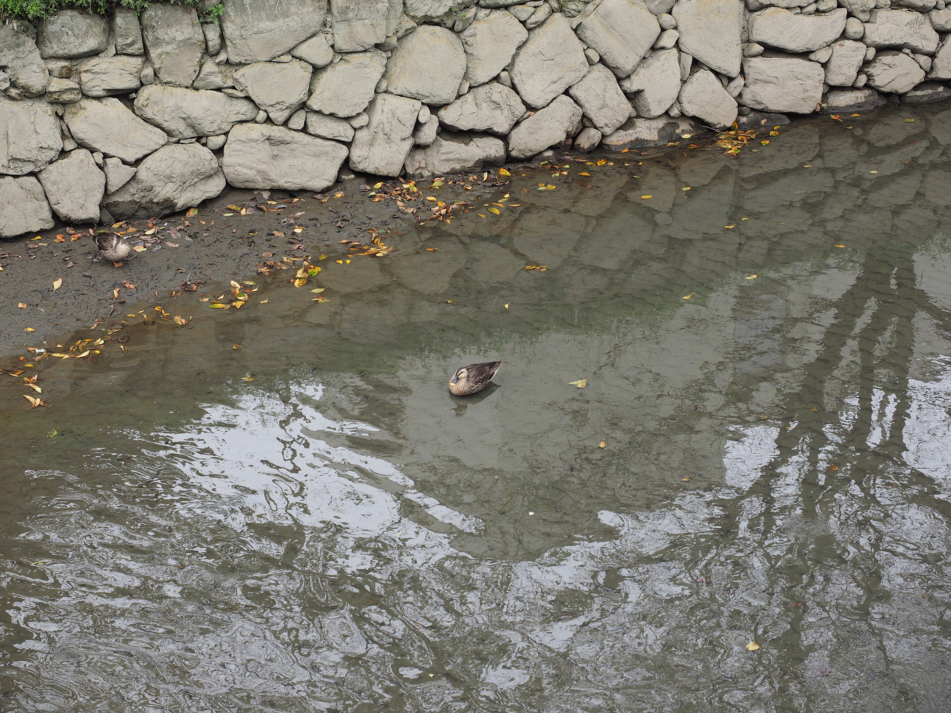 PA010113.jpg