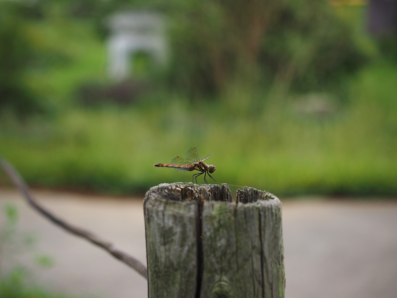 PA010118.jpg