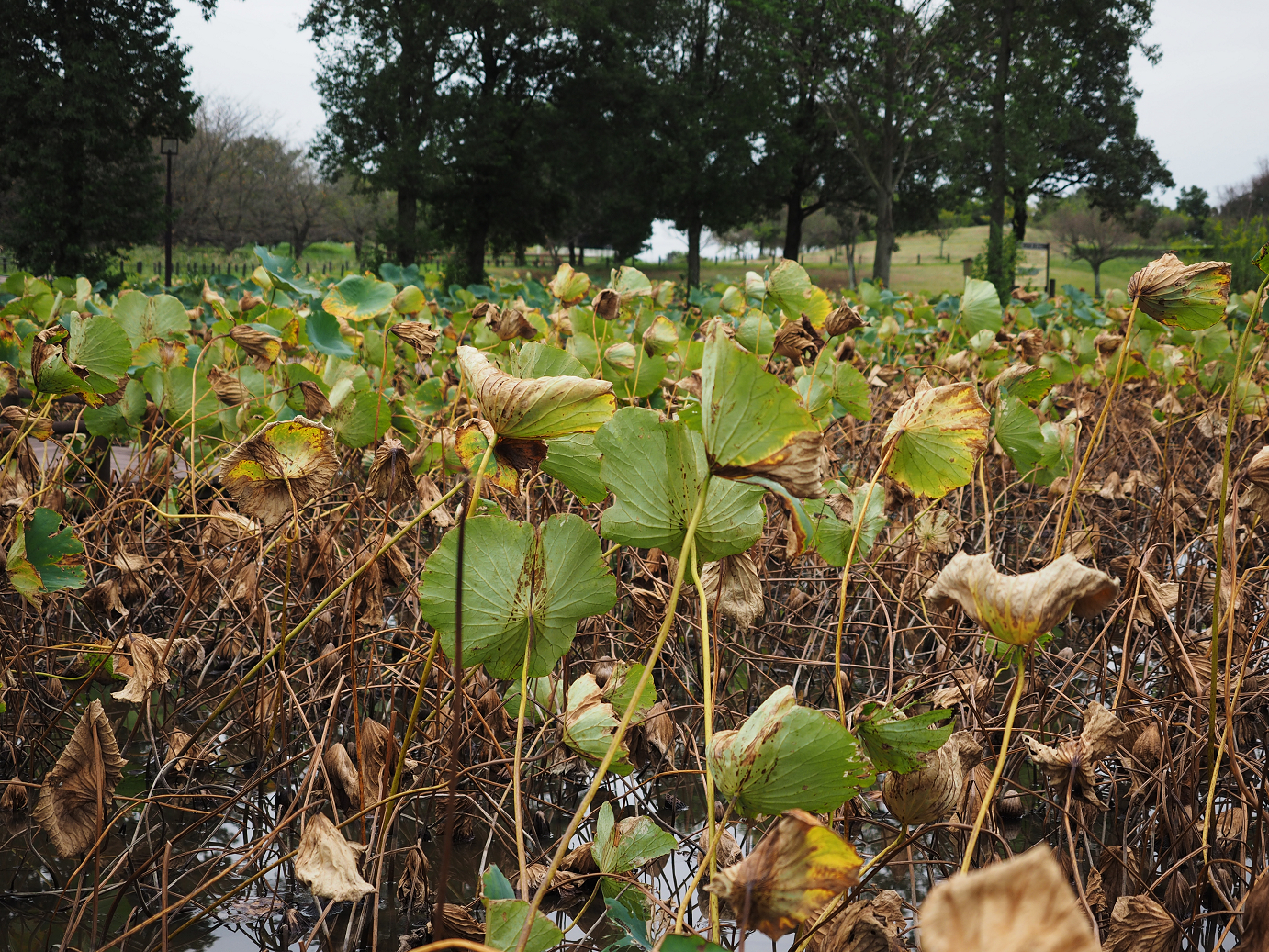 PA010121.jpg
