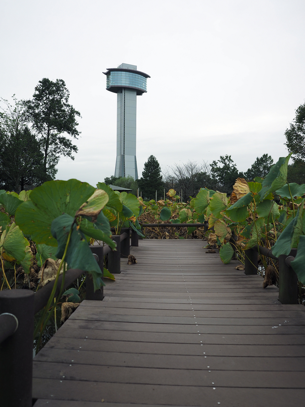 PA010124.jpg