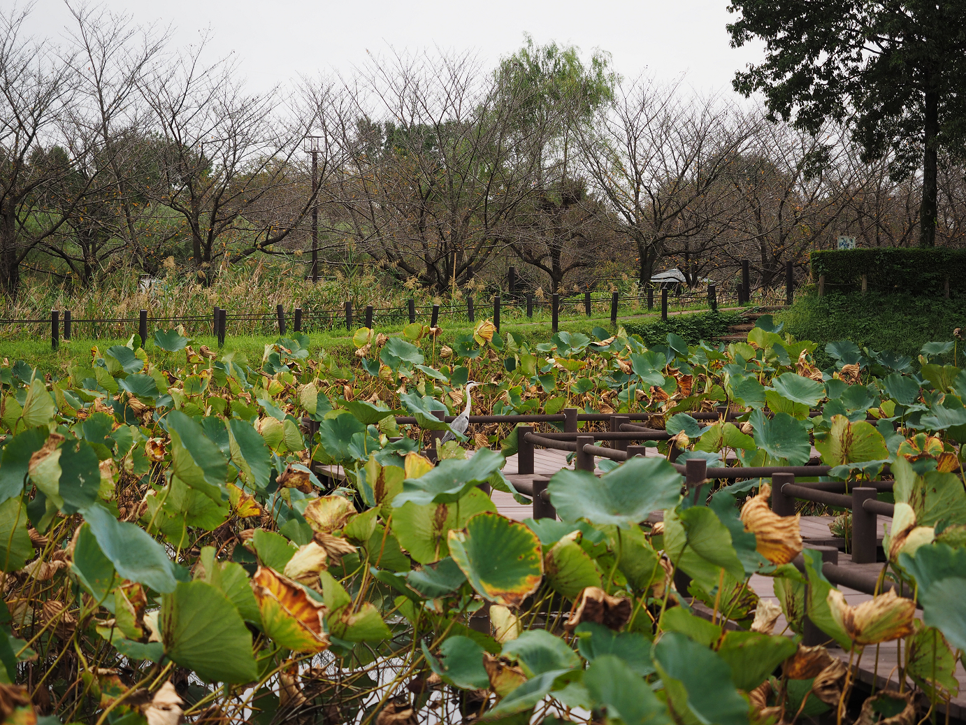 PA010126.jpg