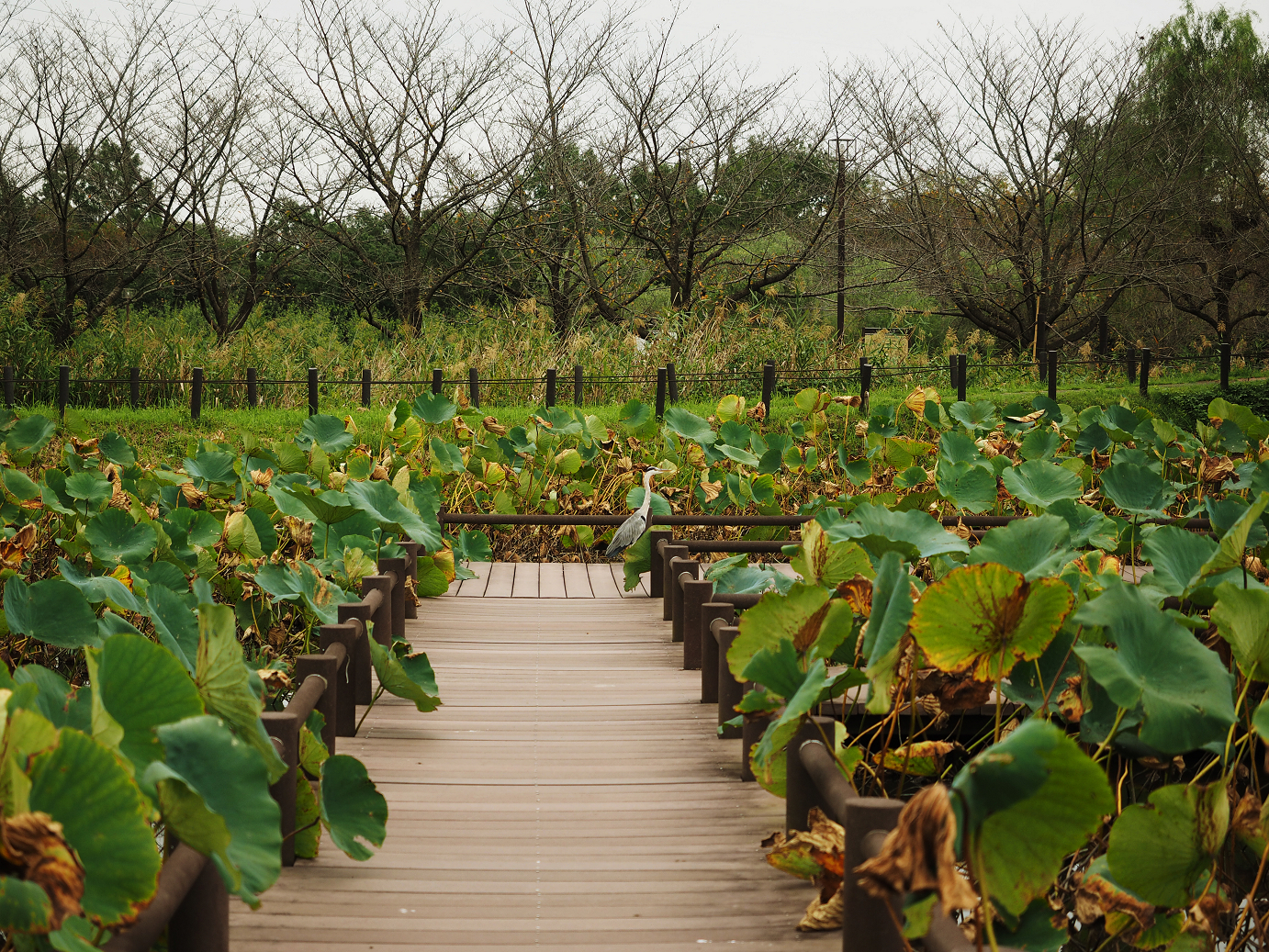 PA010127.jpg