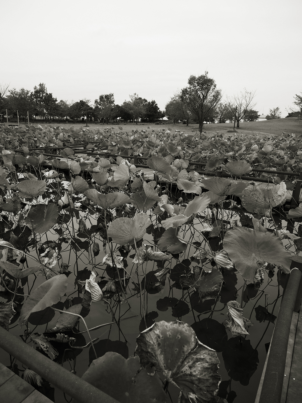 PA010130.jpg