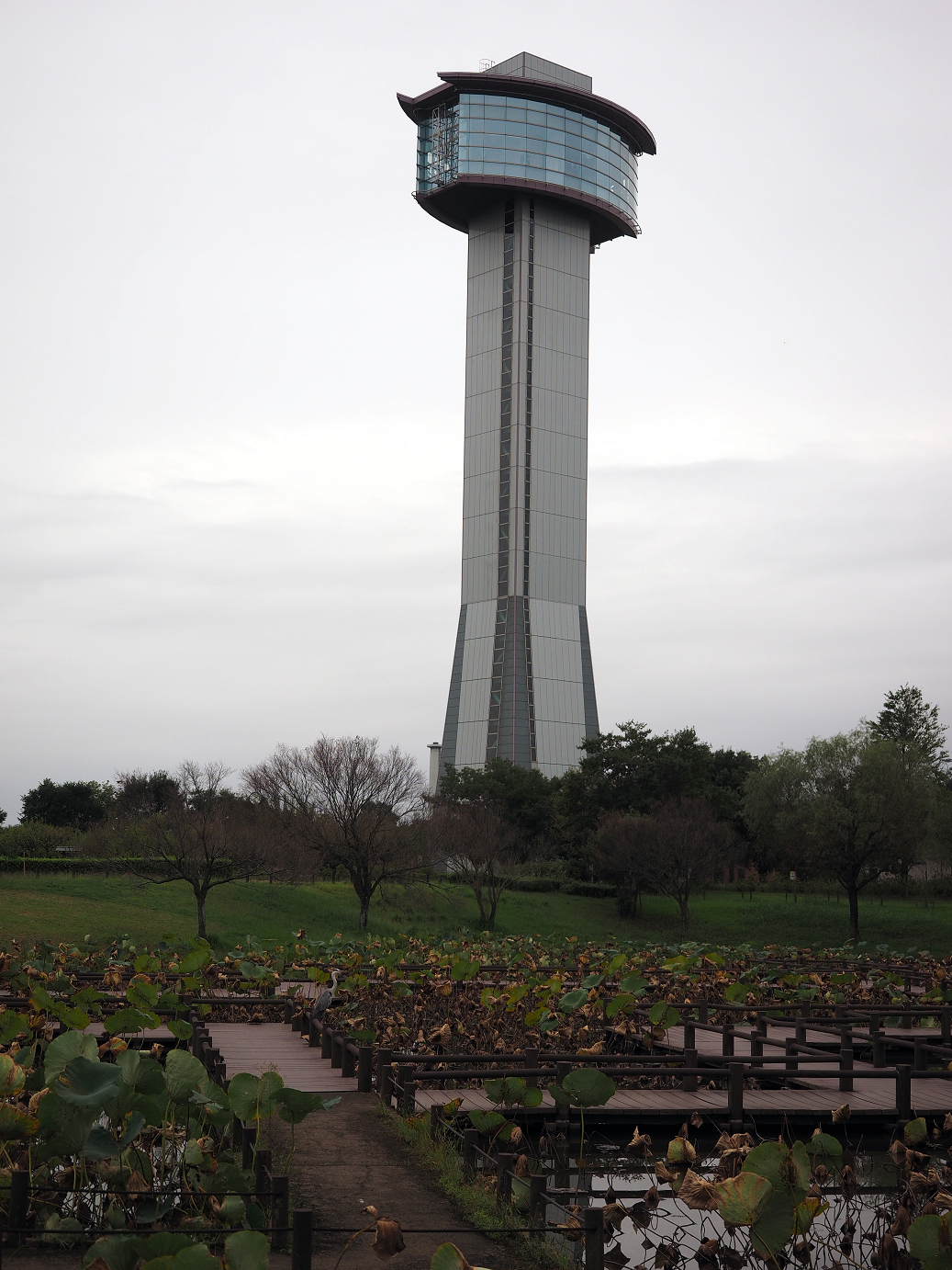 PA010134.jpg