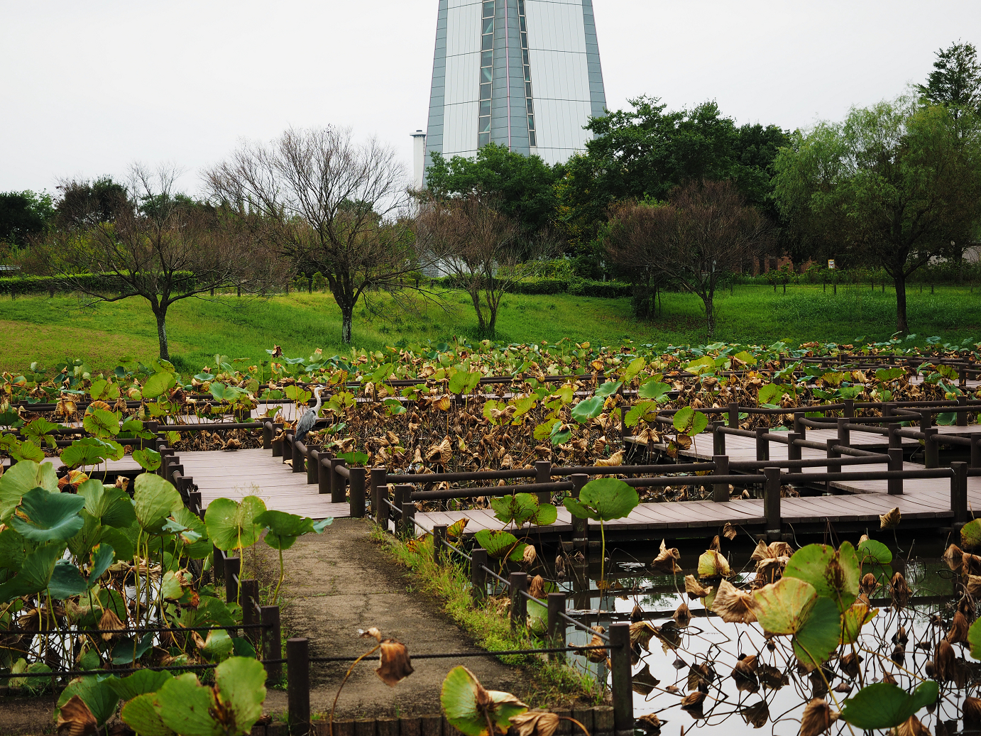 PA010135.jpg