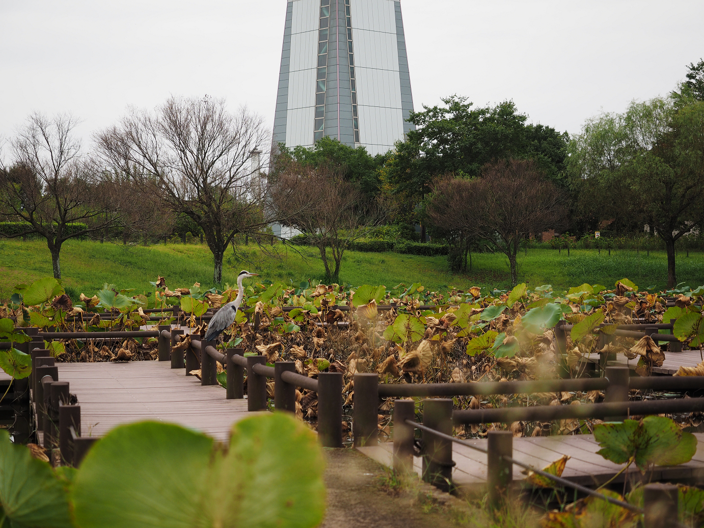 PA010139.jpg