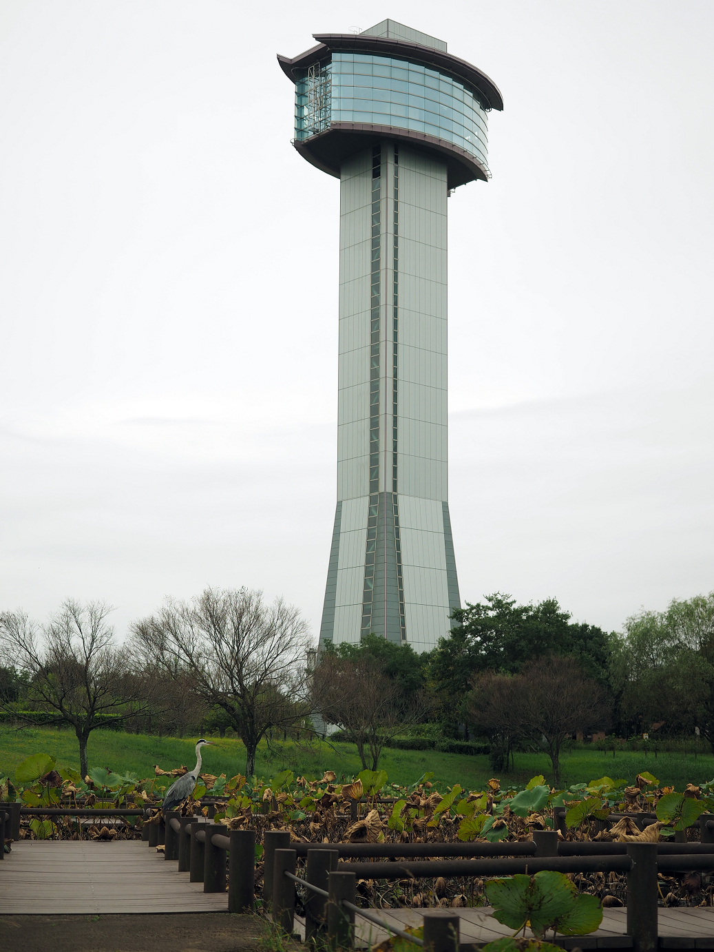 PA010142.jpg