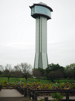 PA010142_thumb.png
