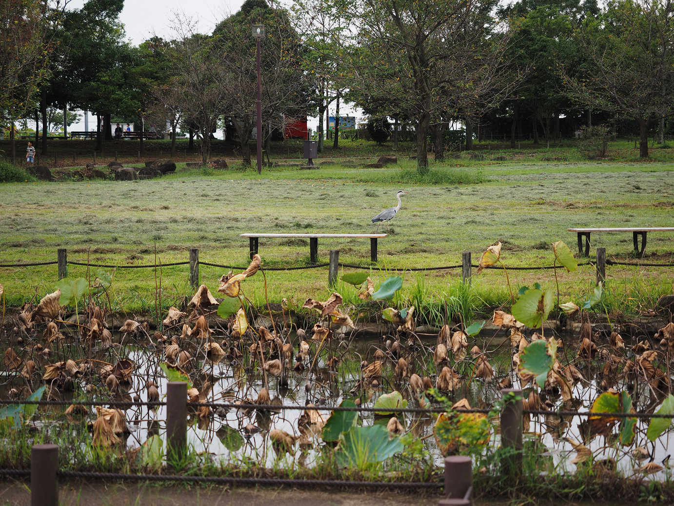PA010145.jpg