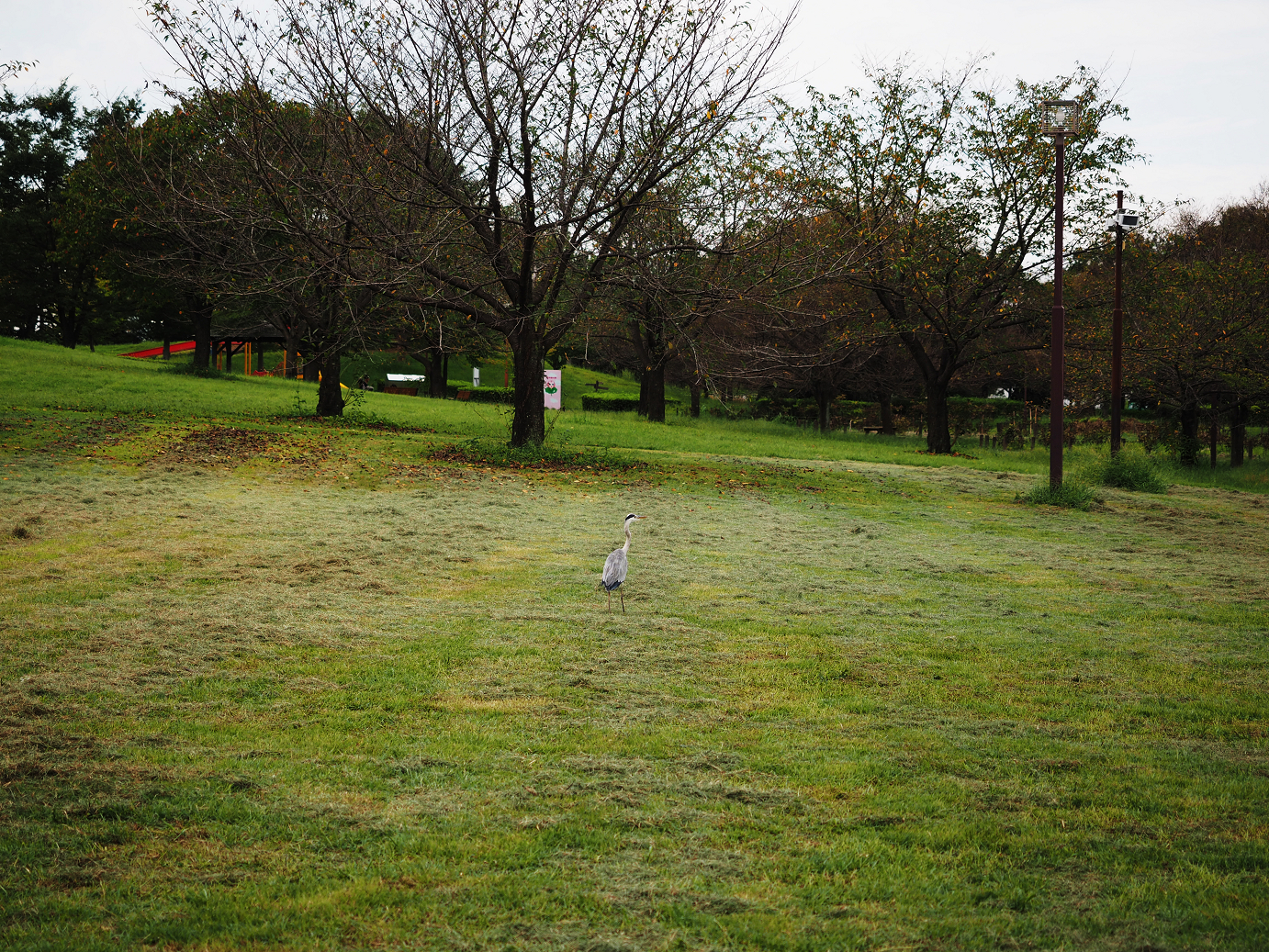 PA010149.jpg