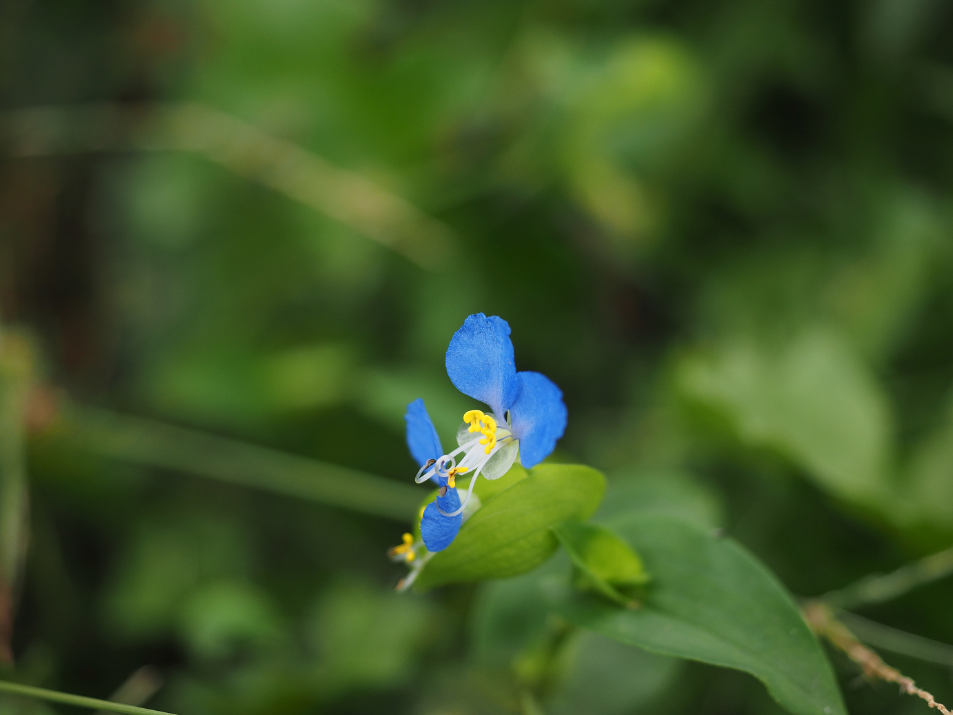 PA010157.jpg