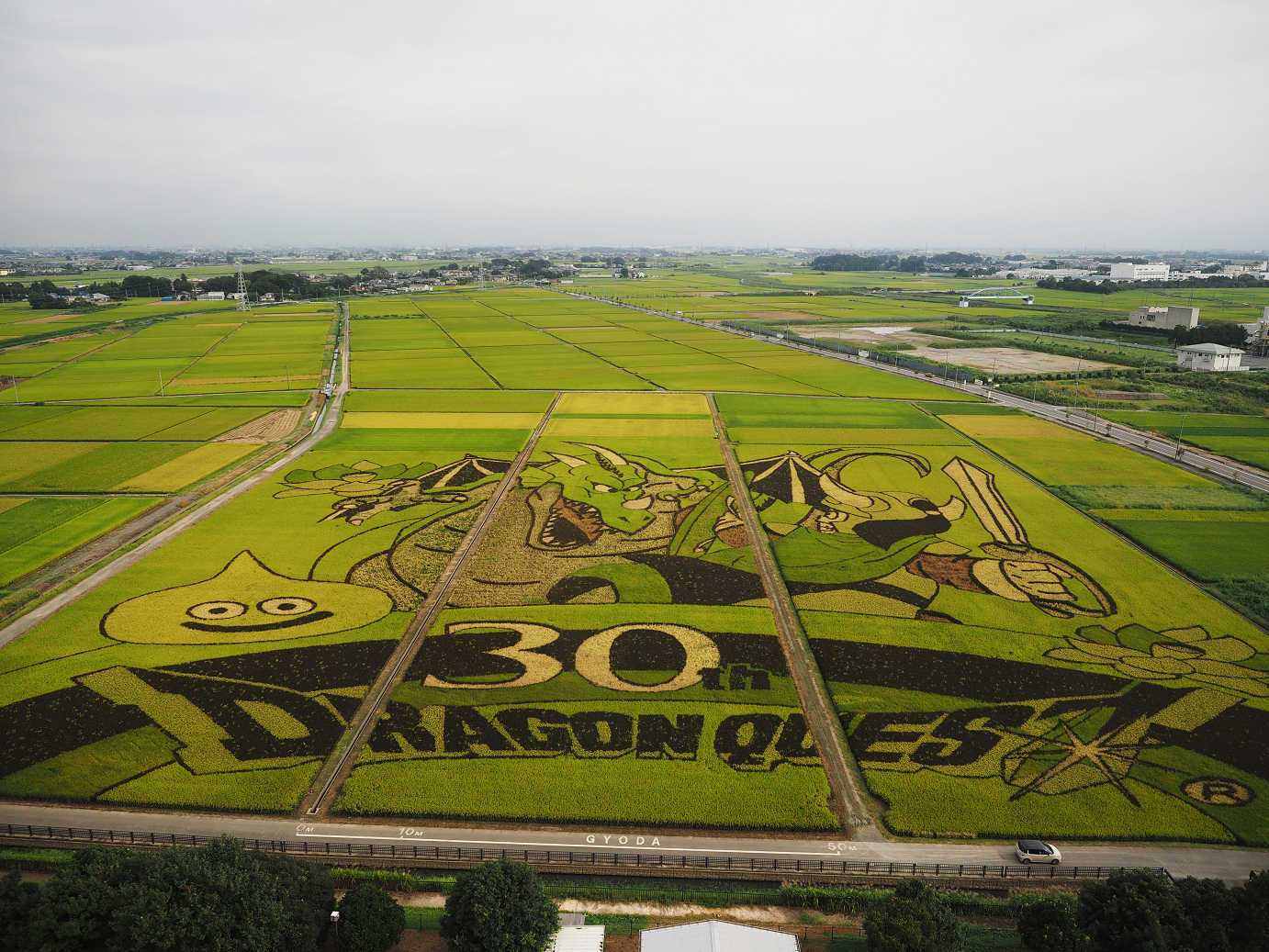PA010165.jpg