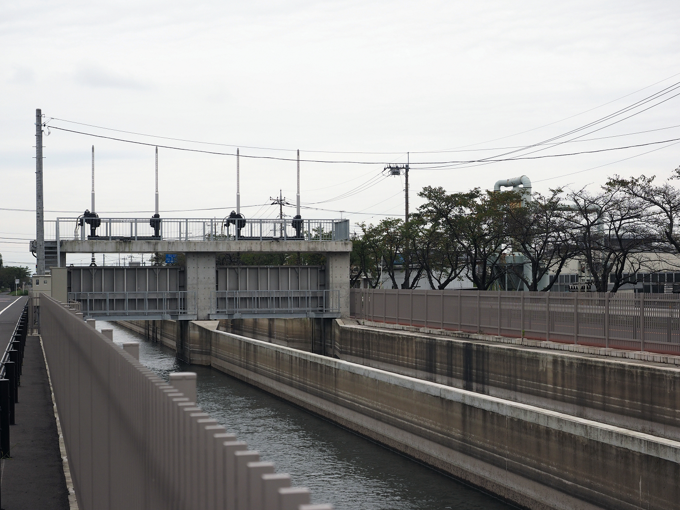 PA010195.jpg