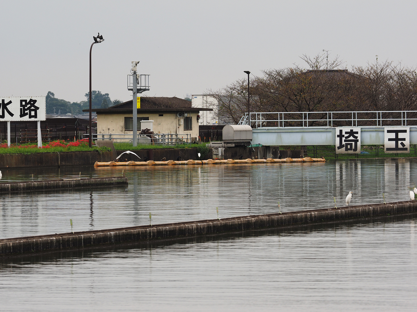 PA010197.jpg