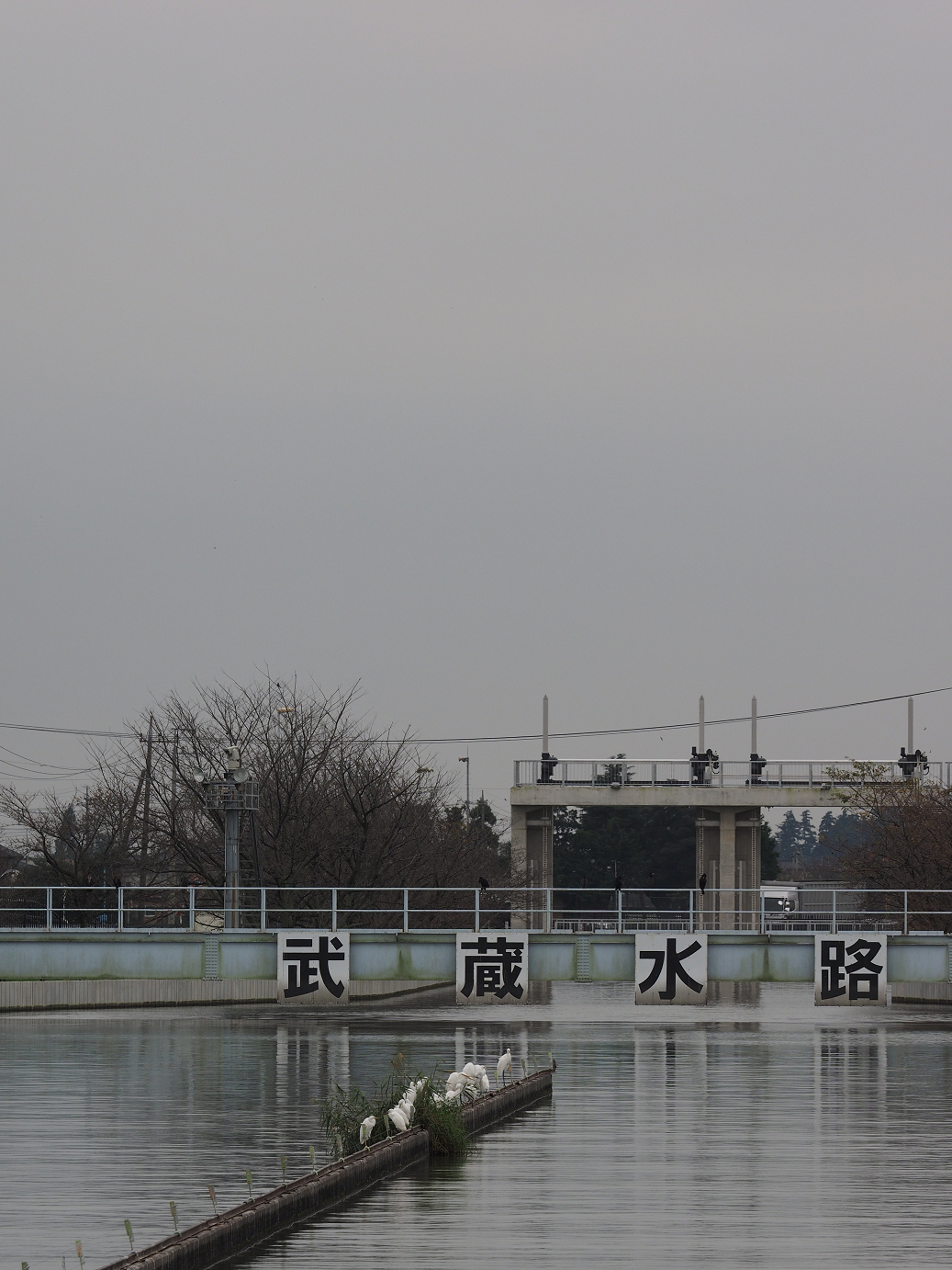 PA010205.jpg
