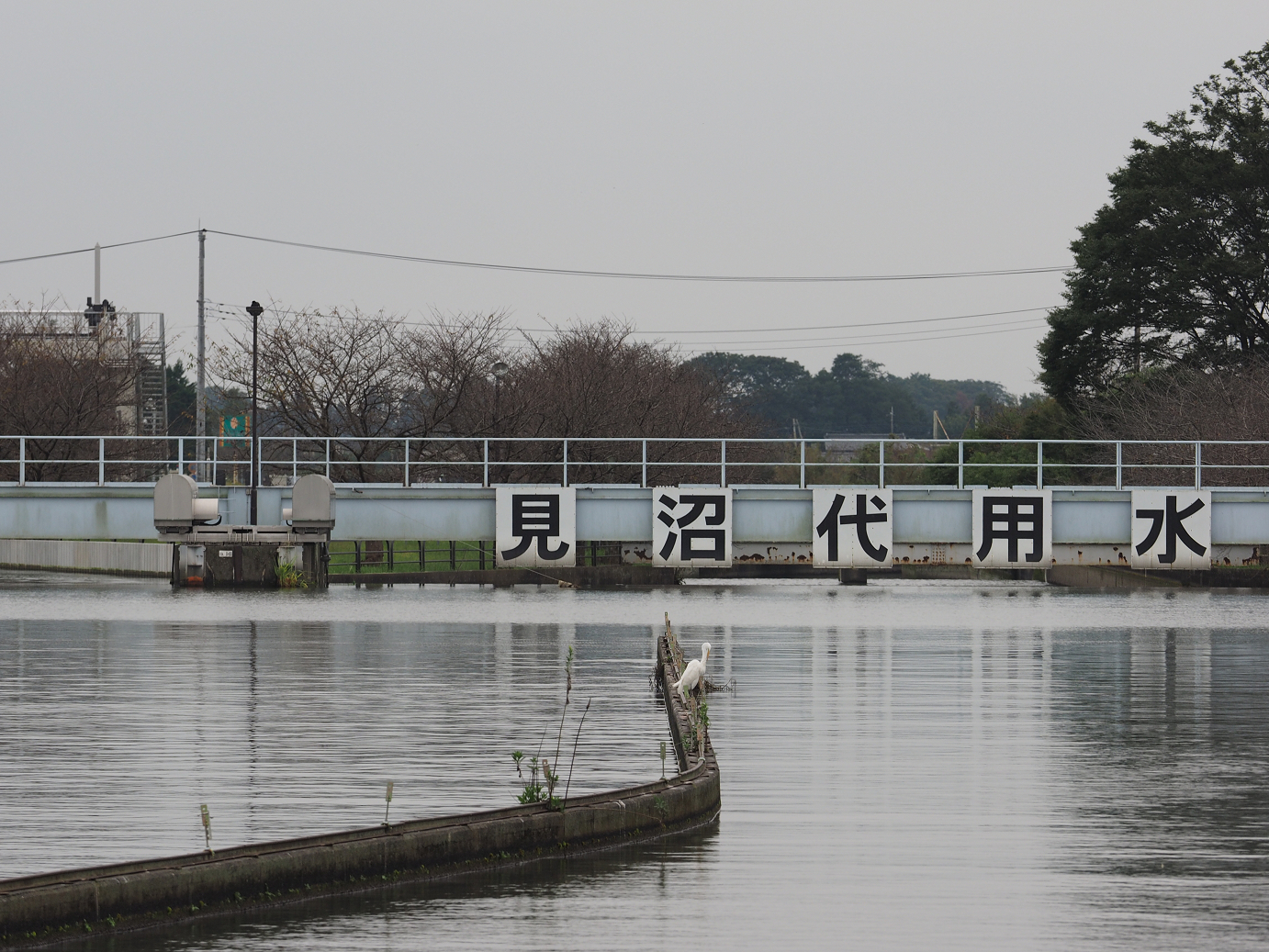 PA010214.jpg