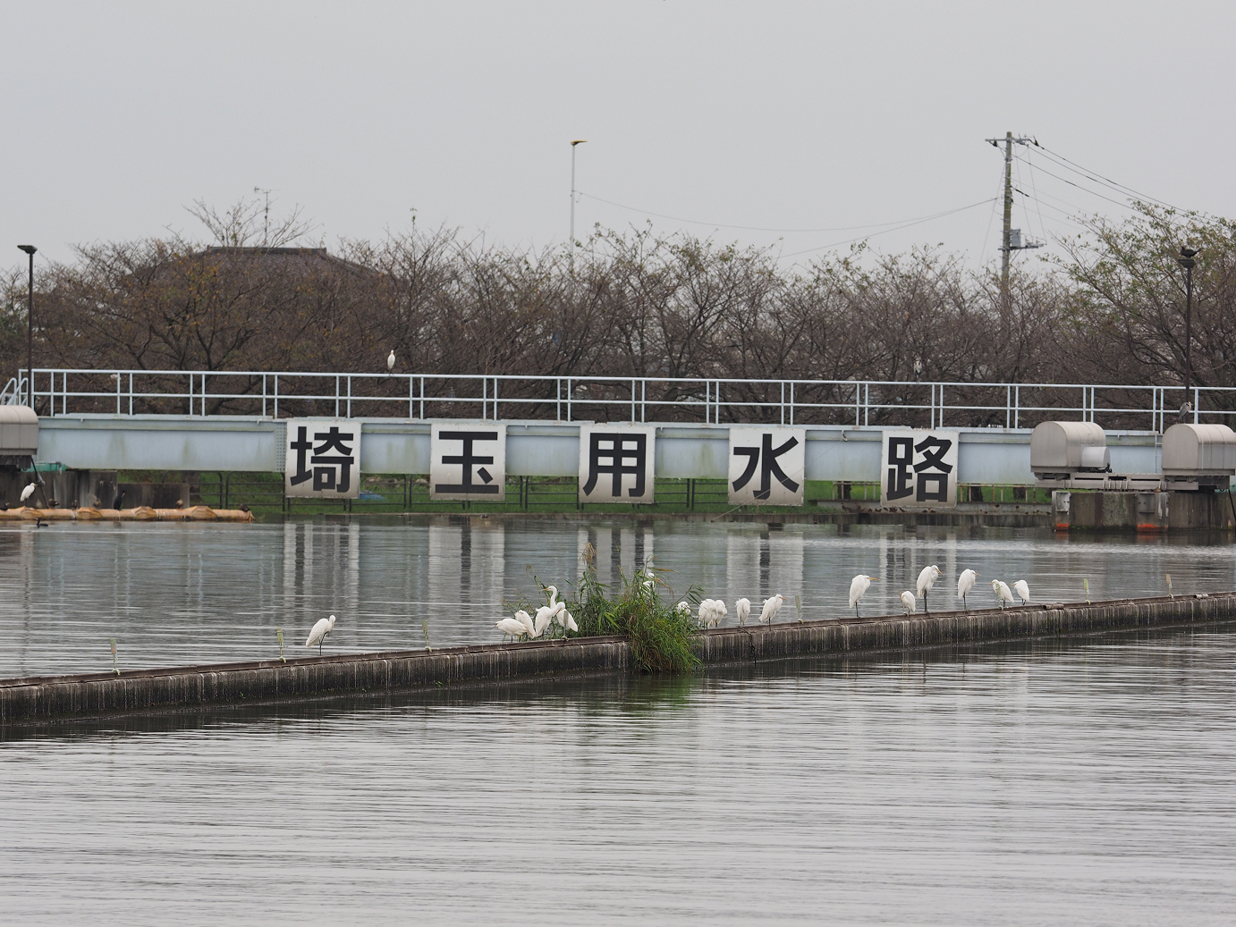 PA010217.jpg
