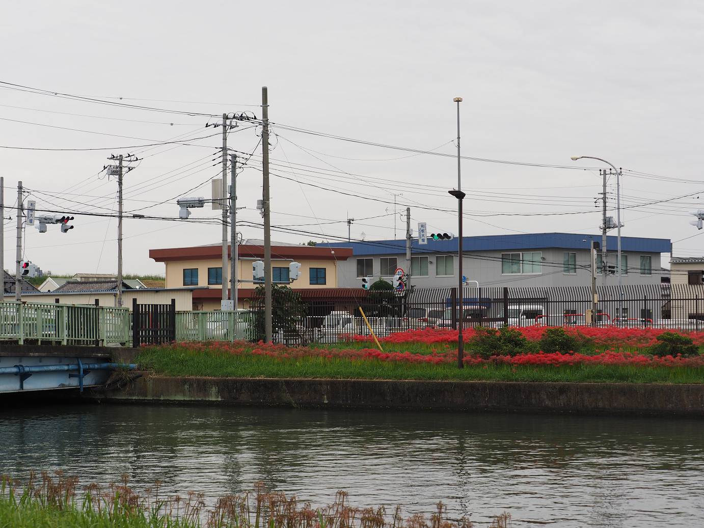 PA010220.jpg