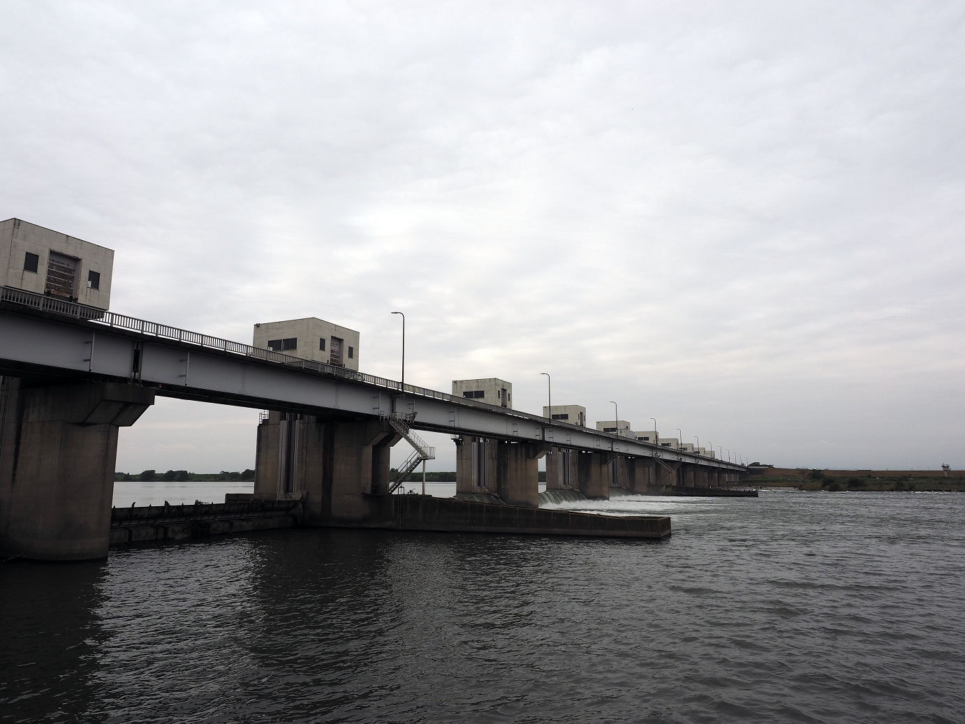PA010225.jpg