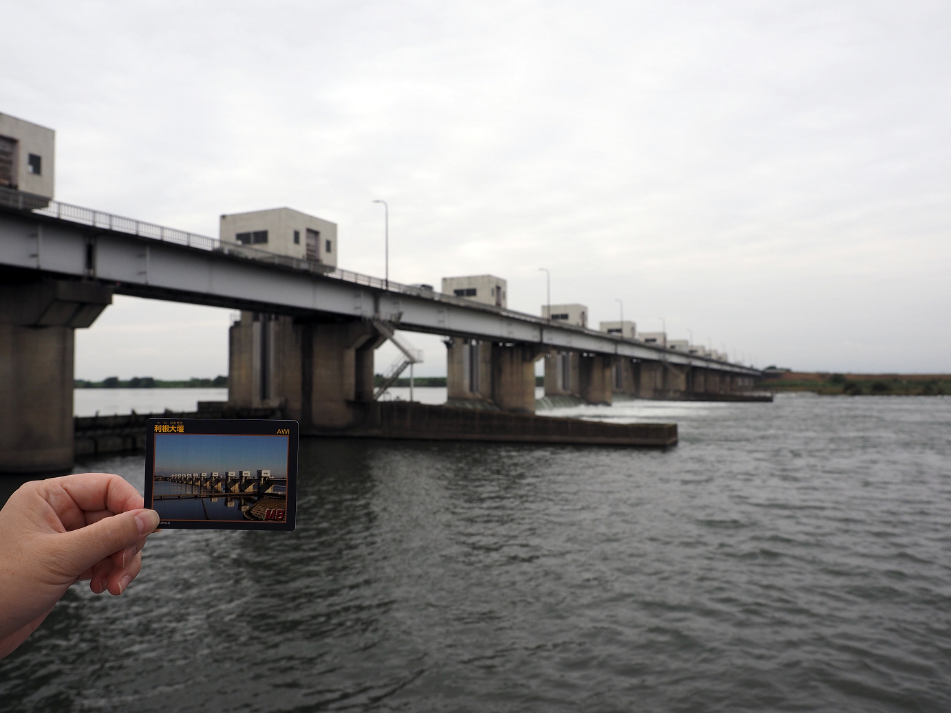 PA010226.jpg