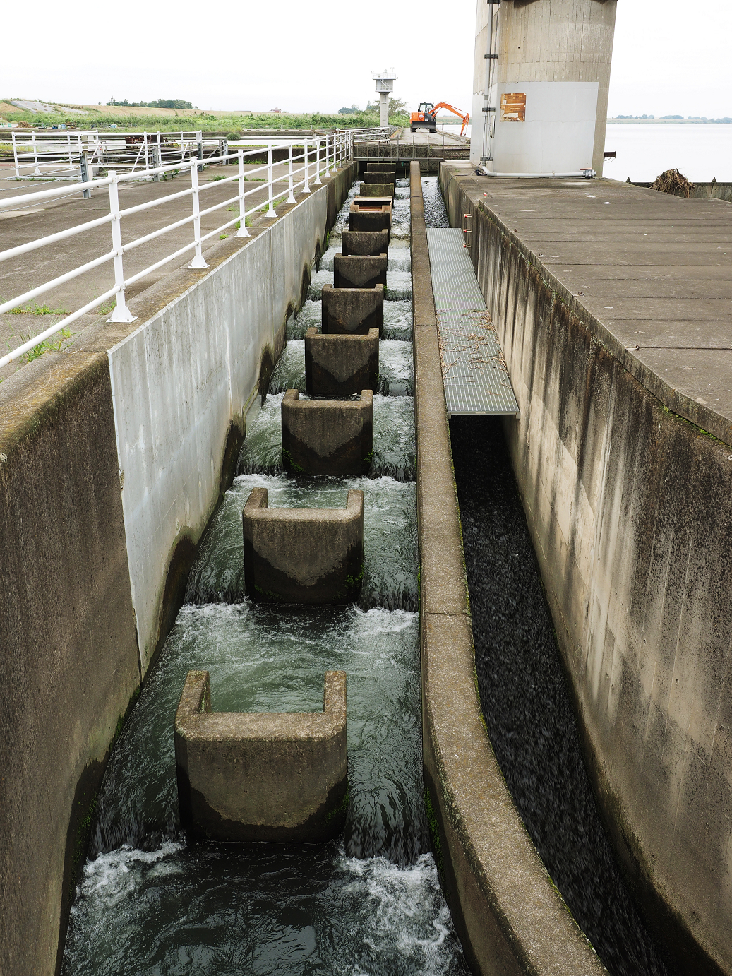 PA010232.jpg