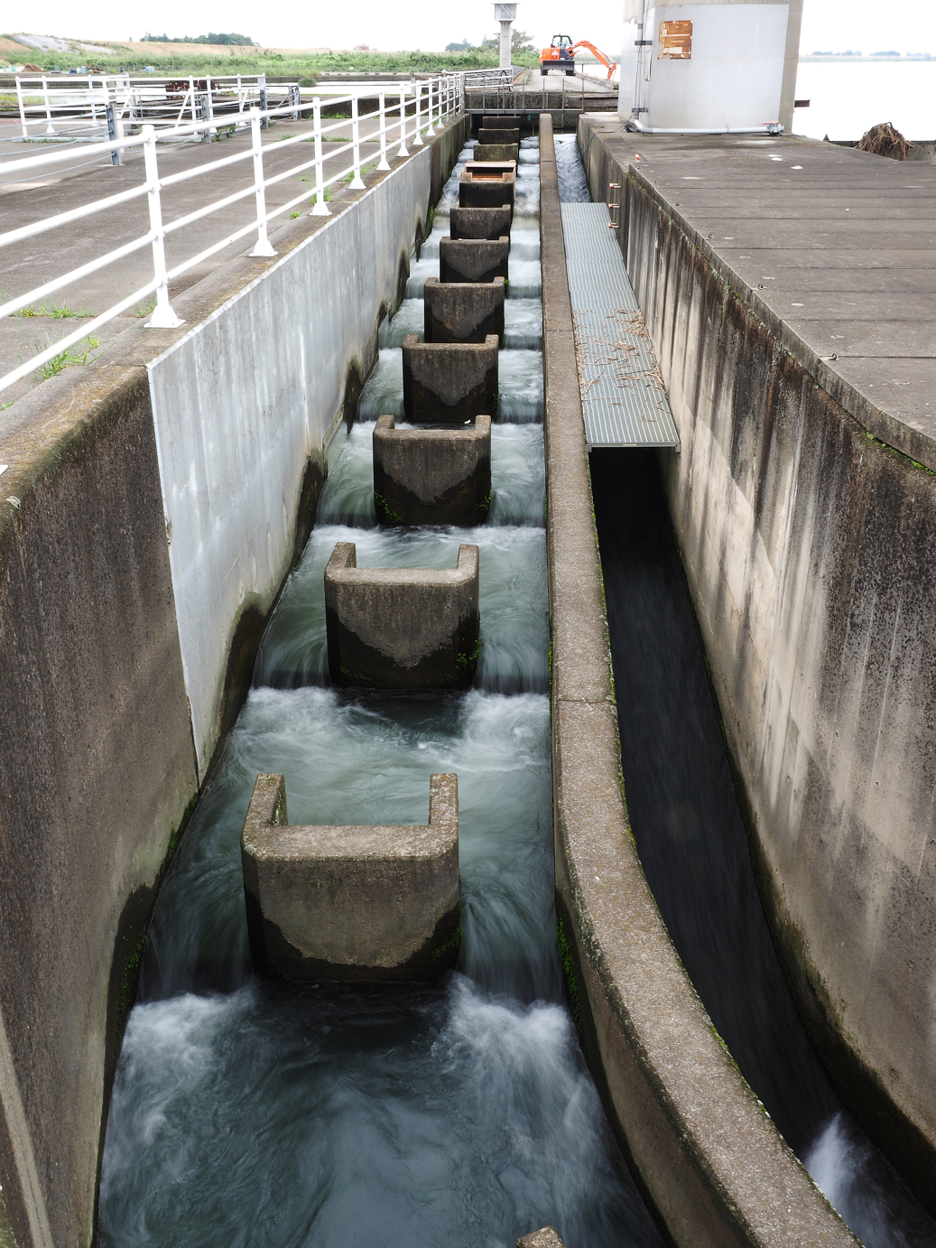 PA010235.jpg