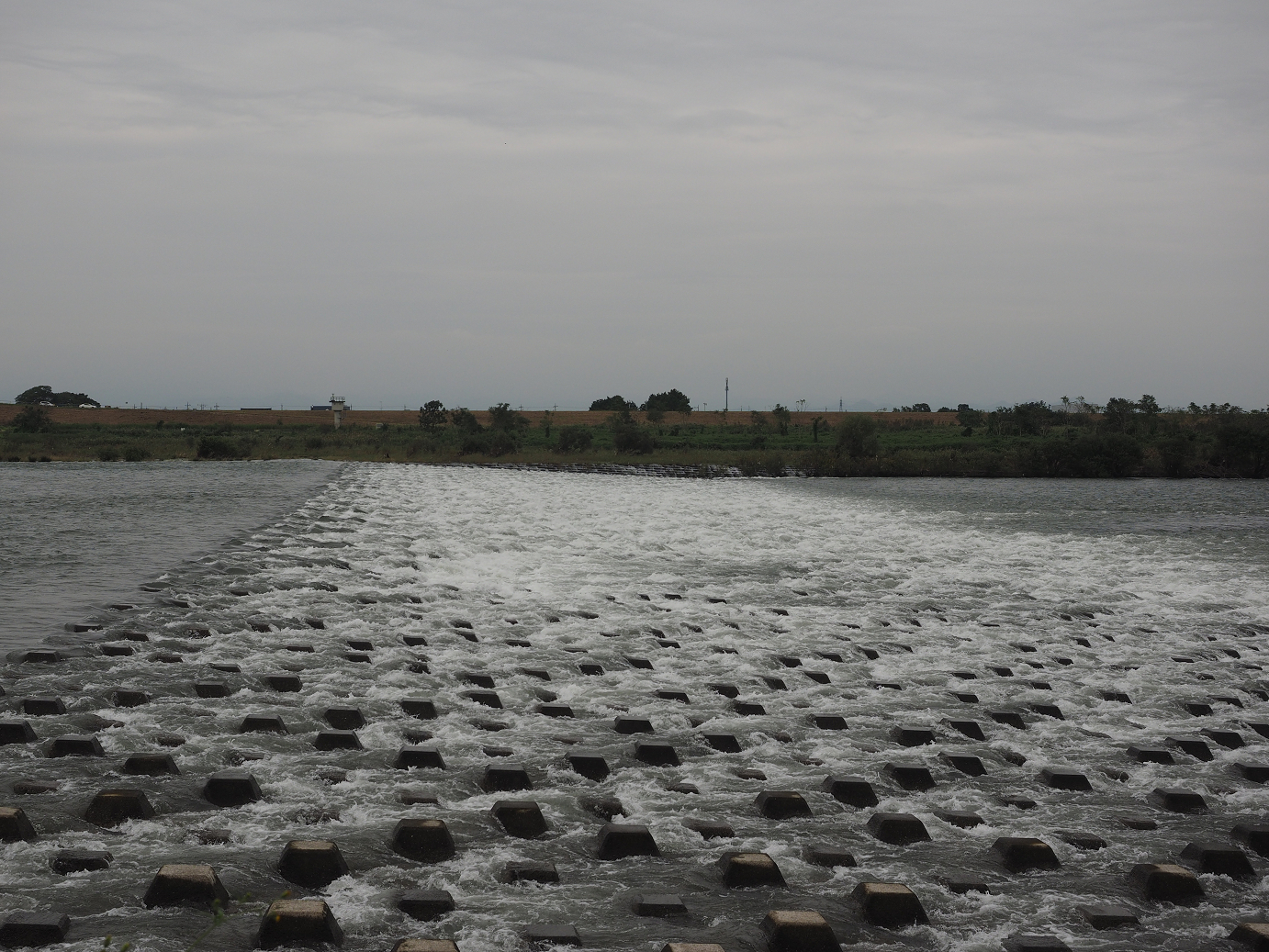 PA010241.jpg