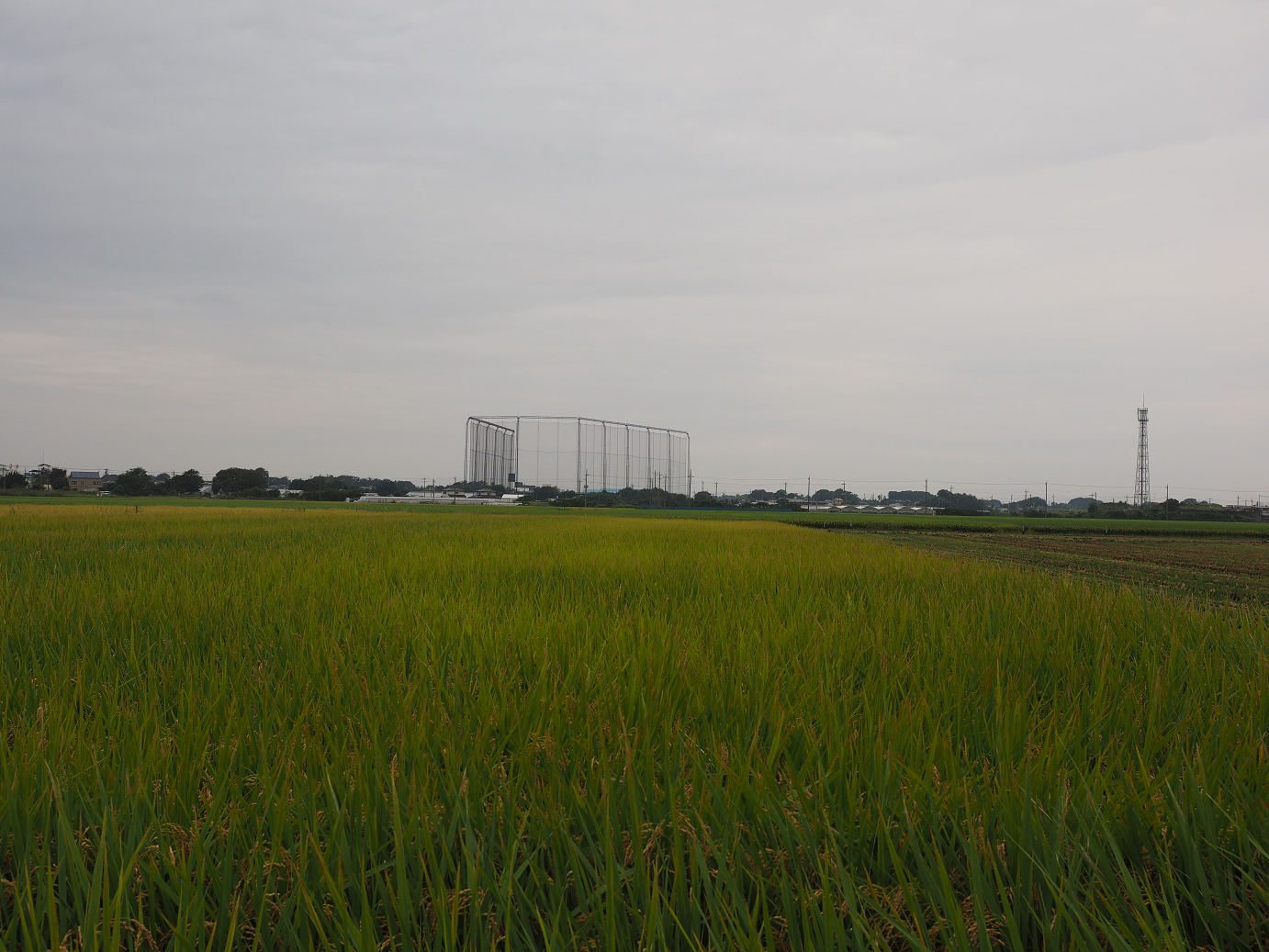 PA010247.jpg