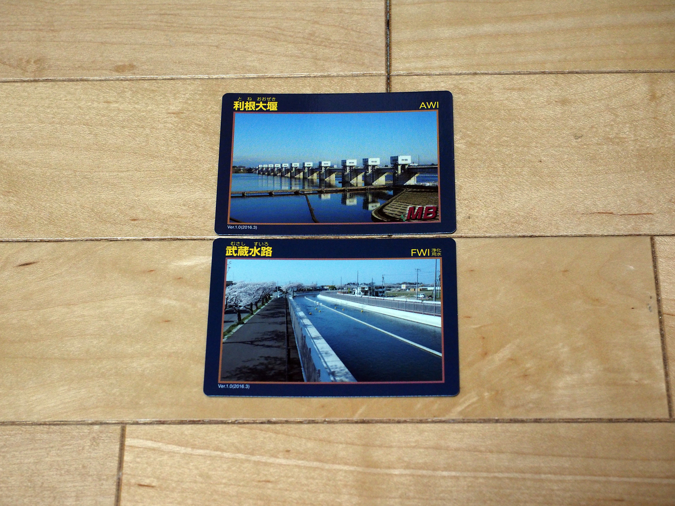 PA010317.jpg