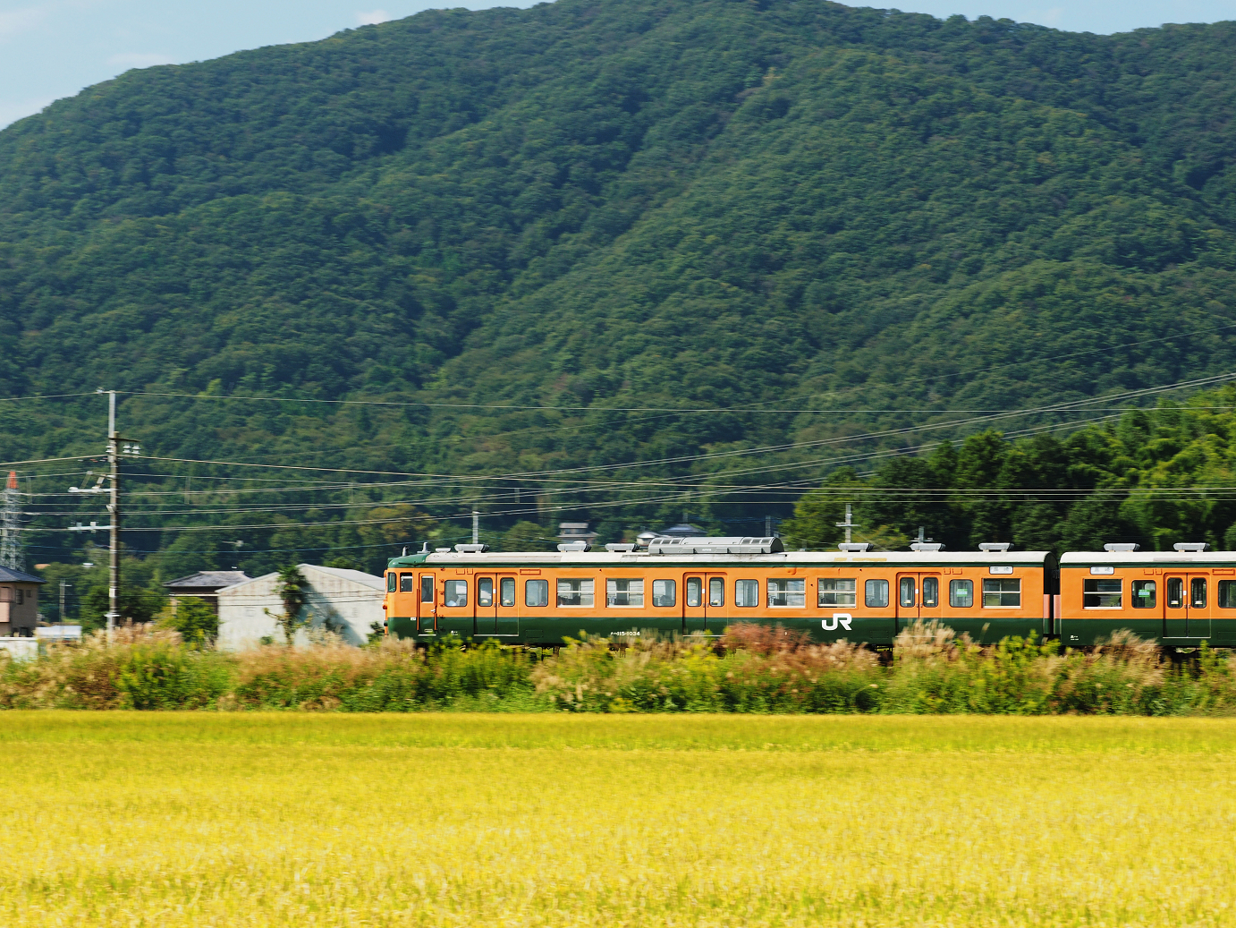 PA020324.jpg