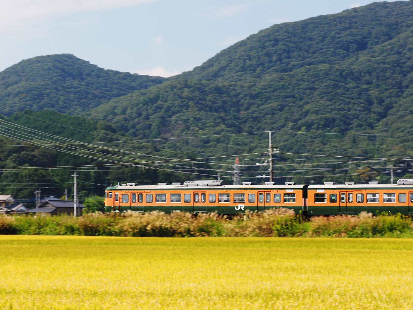PA020325.jpg