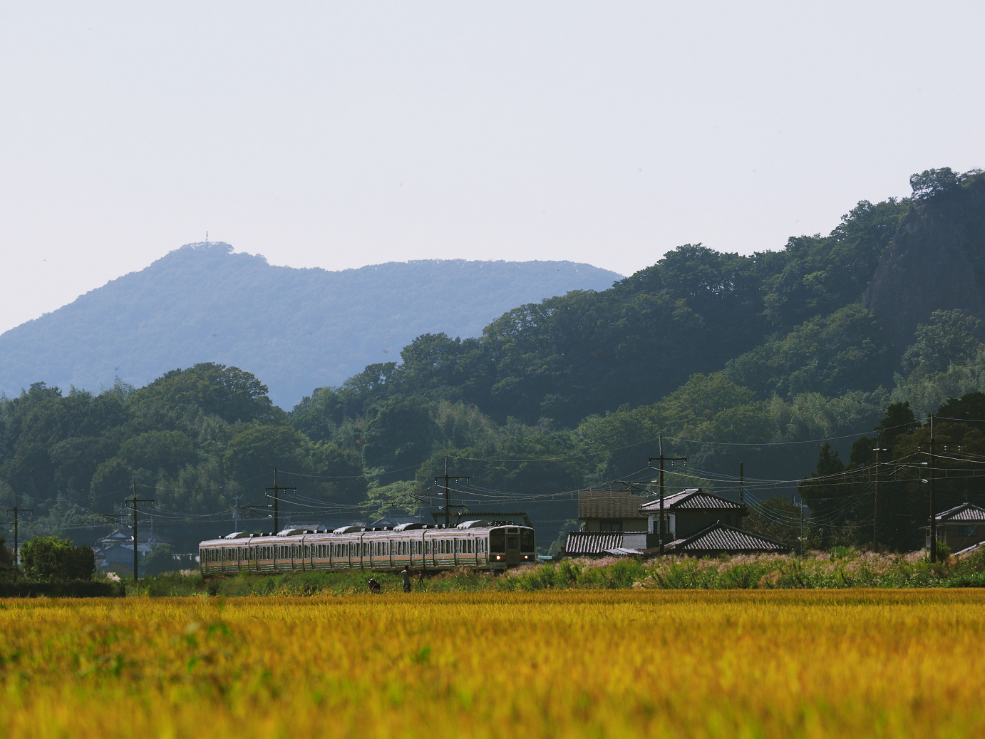 PA020334.jpg