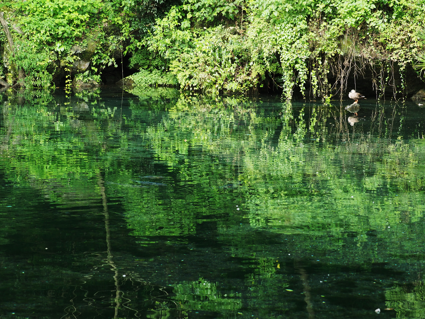PA020416.jpg
