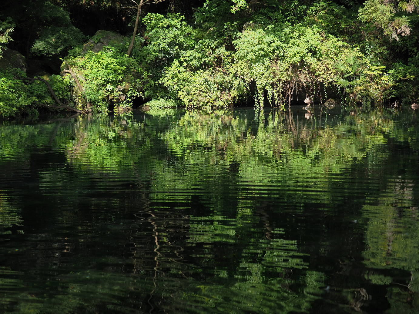 PA020422.jpg