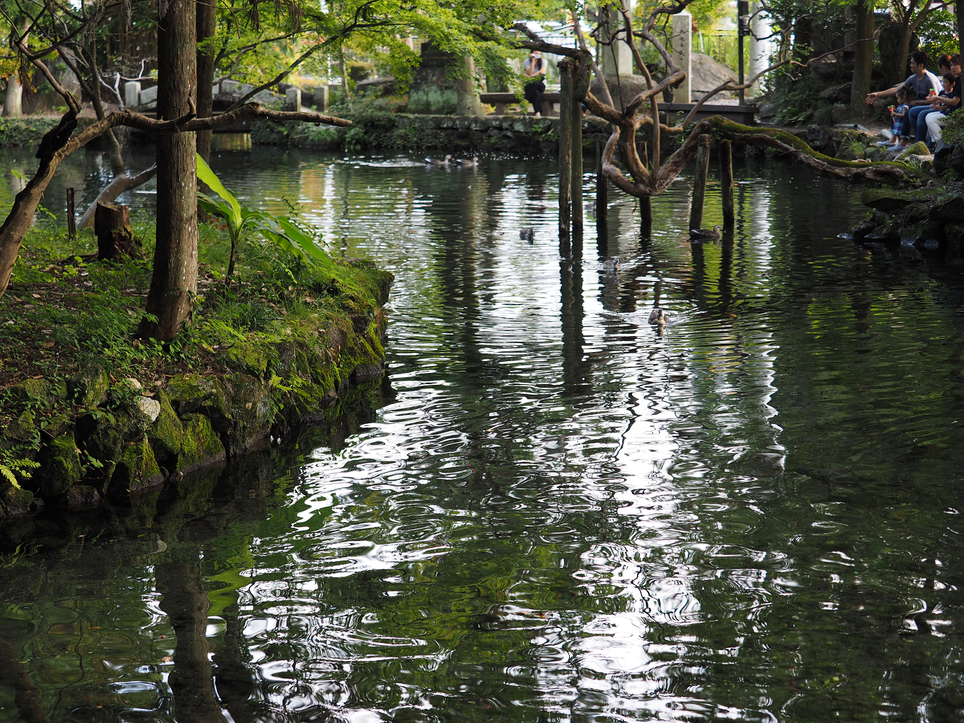 PA020455.jpg