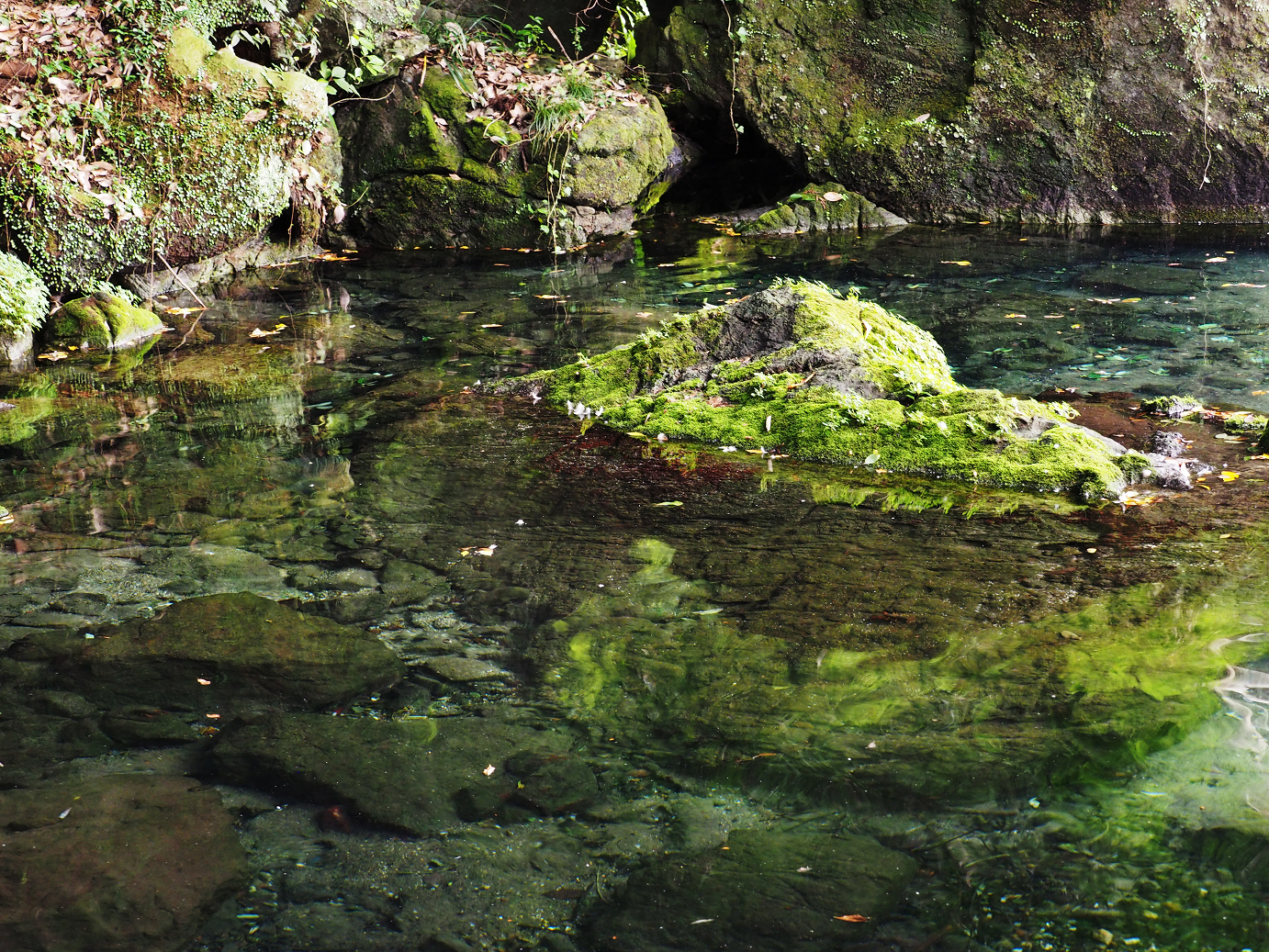 PA020464.jpg