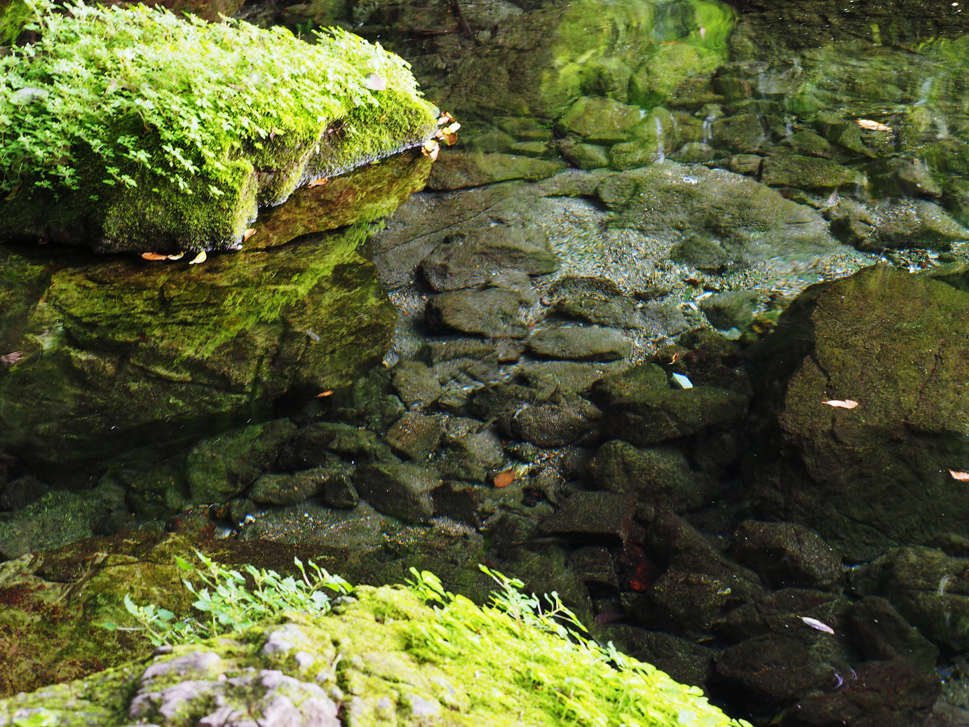 PA020466.jpg