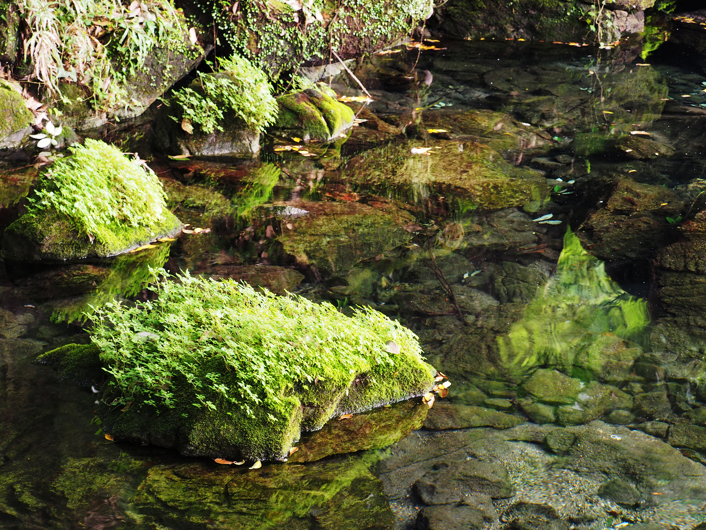 PA020468.jpg