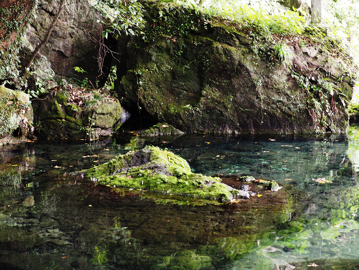 PA020470.jpg