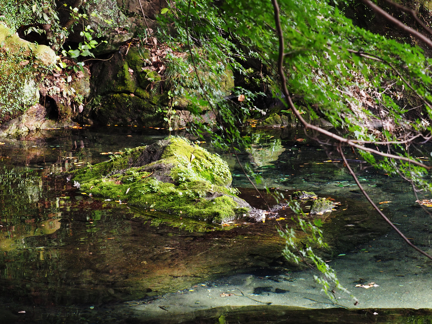 PA020472.jpg