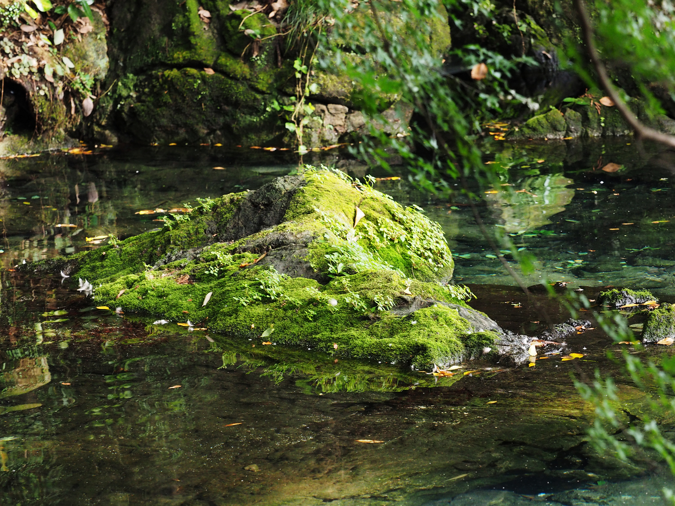 PA020473.jpg