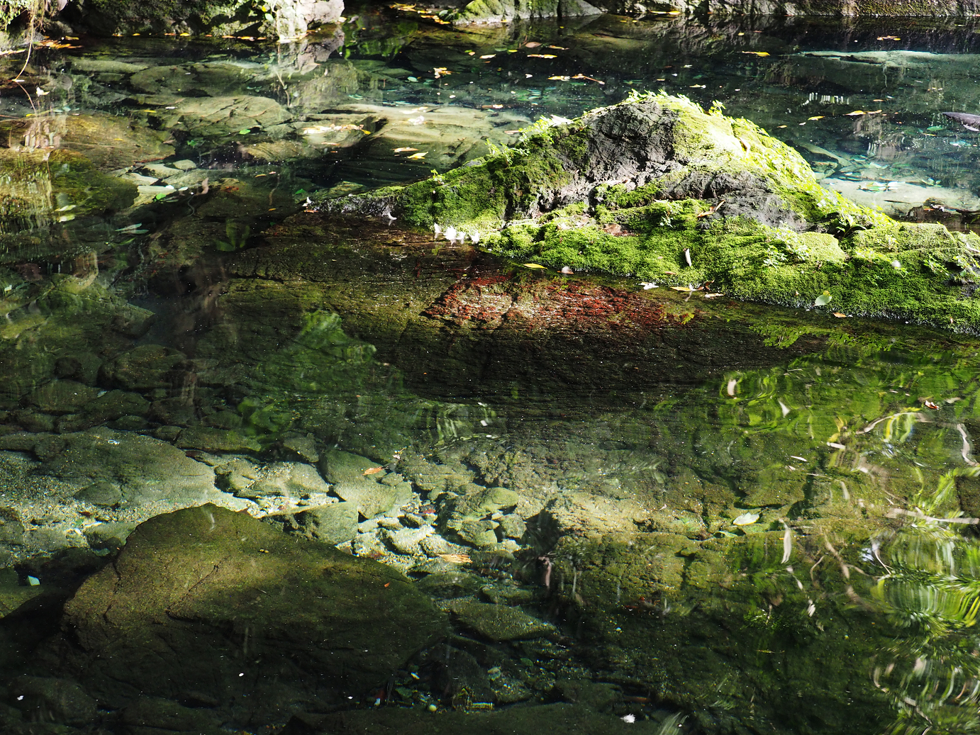 PA020476.jpg