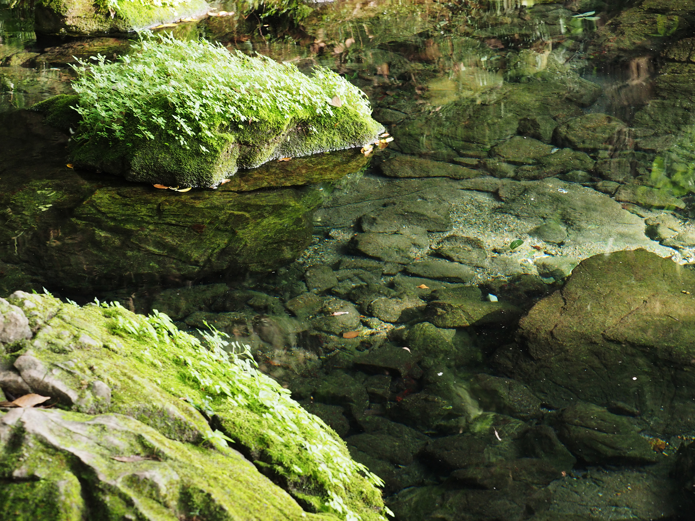 PA020477.jpg