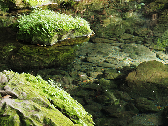 PA020477_thumb.png
