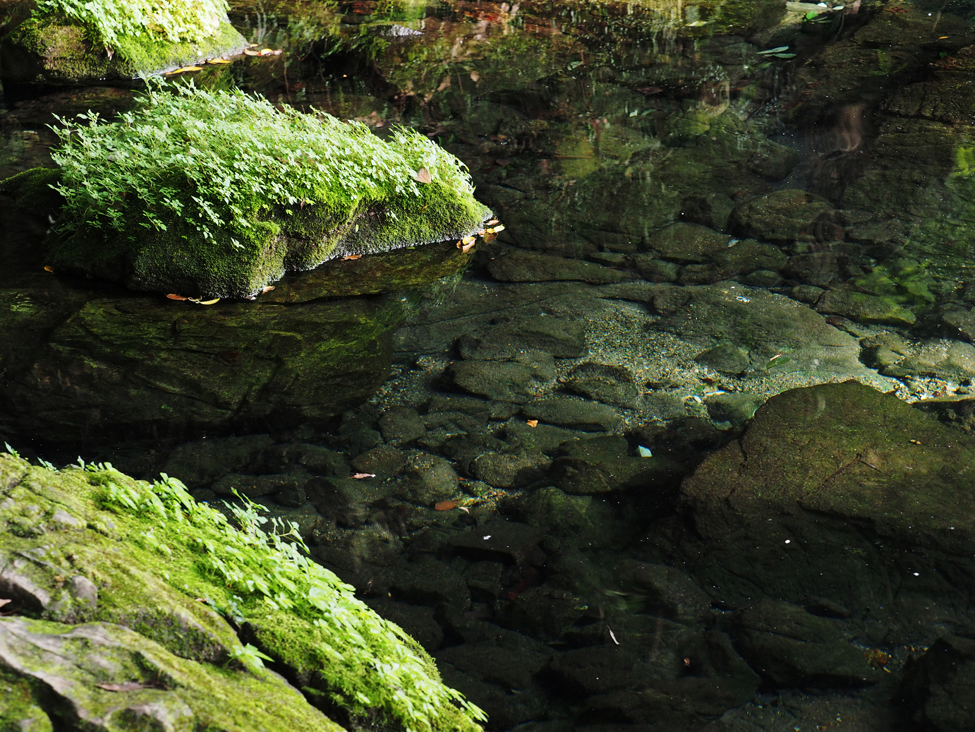 PA020478.jpg